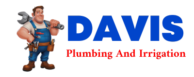 Trusted plumber in BIRNEY